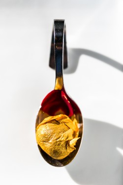 . Bombón de foie relleno de queso de cabra, obulato, polvo de oro, manzana deshidratada y coco de Ángela Basabe y Félix Manso (Irun)