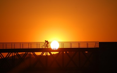 Vía verde del aceite: un gran itinerario para cicloturistas