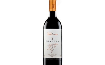 Serie Los Mejores Vinos de España: Valduero I Cepa 2011, el gran valor de los matices