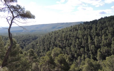 La maravillosa Sierra de Enguera: no te la imagines, descúbrela.