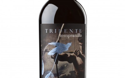 Serie Los Mejores Vinos de España: Tridente Tempranillo, el potencial de la variedad en la Castilla zamorana